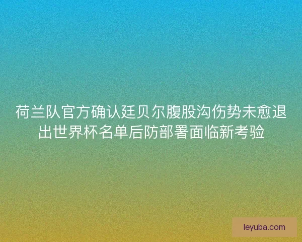 荷兰队官方确认廷贝尔腹股沟伤势未愈退出世界杯名单后防部署面临新考验